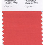 pantone-cayenne-mdn