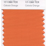 pantone-celosia-mdn