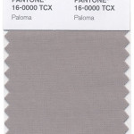 pantone-paloma-mdn
