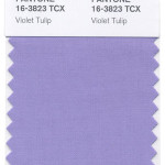 pantone-violet-tulip-mdn