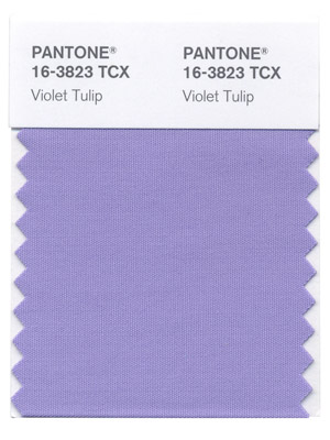 Violet Tulip -  www.mybrandnewimage.com