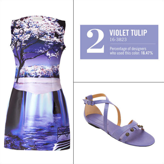 Violet Tulip - www.mybrandnewimage.com